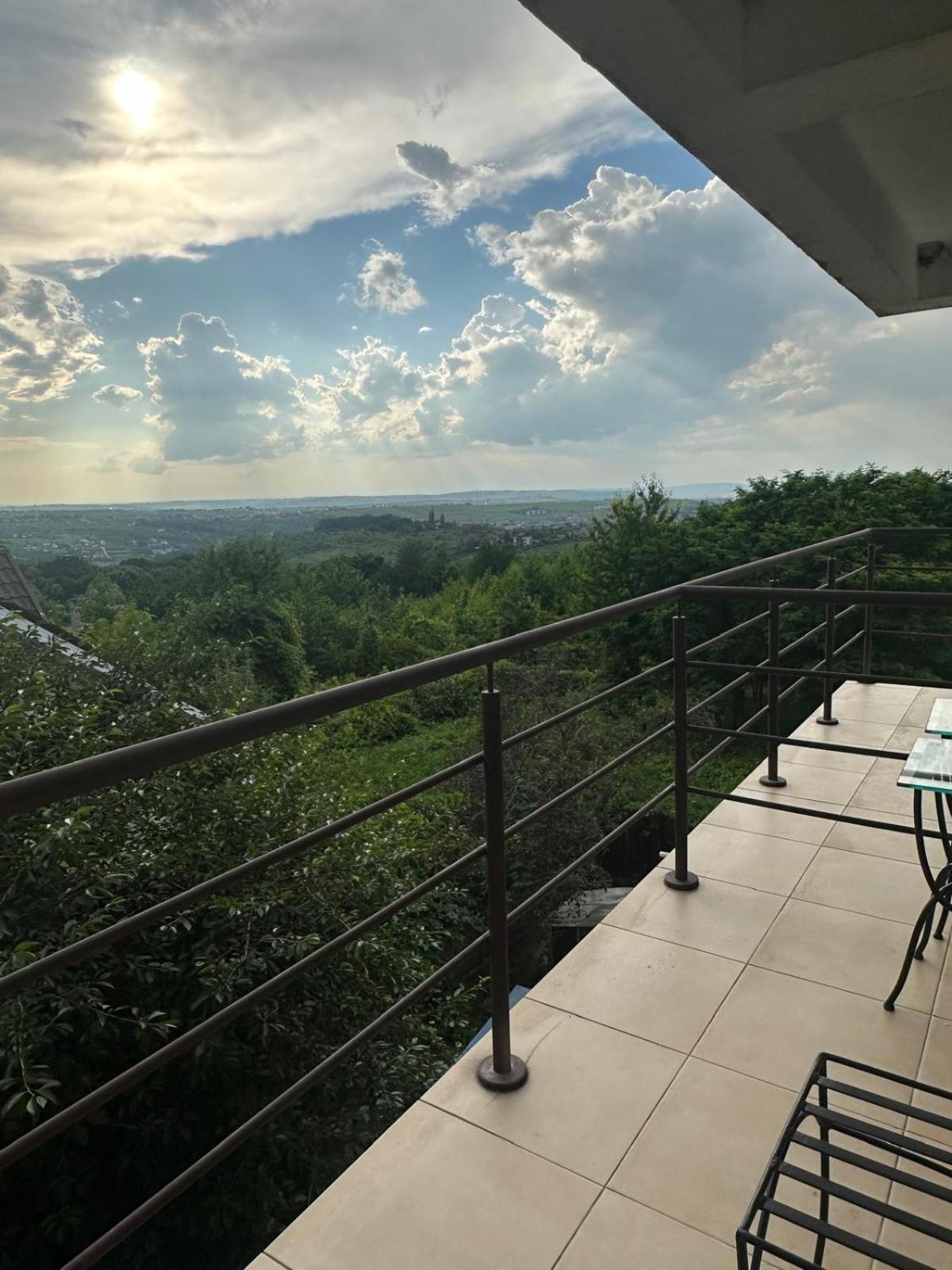 Shamrock Inn Яссы Экстерьер фото
