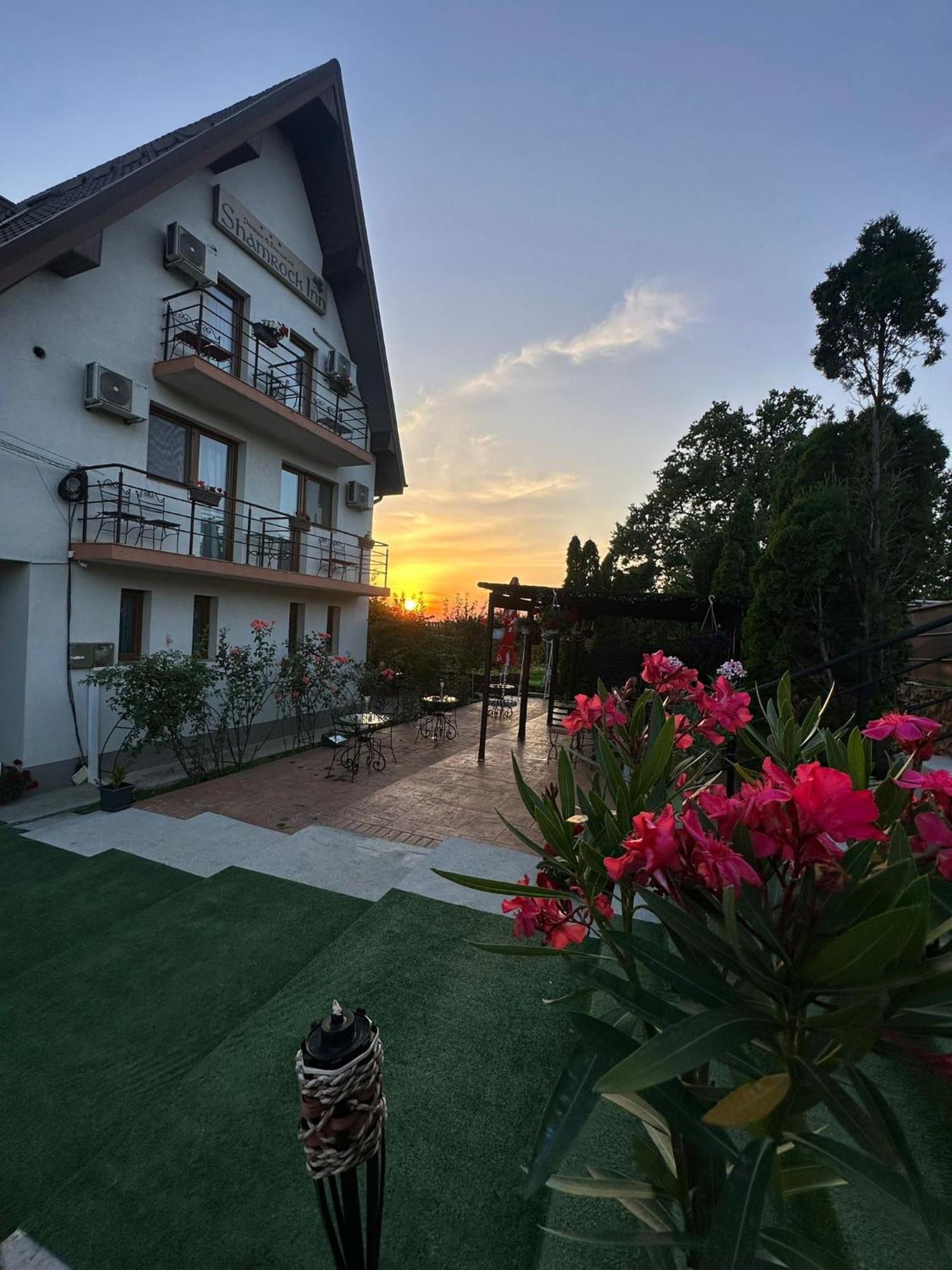 Shamrock Inn Яссы Экстерьер фото