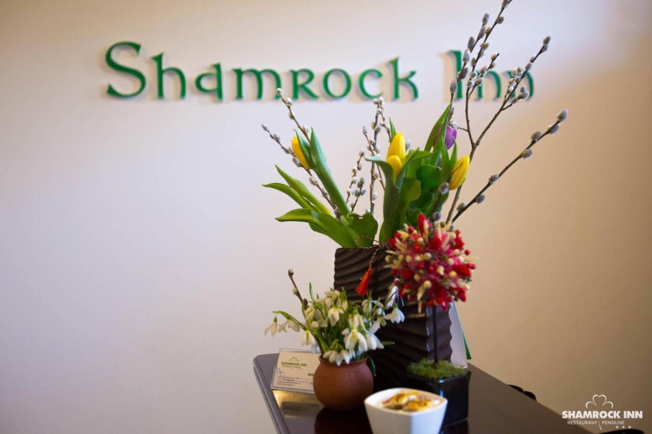 Shamrock Inn Яссы Экстерьер фото